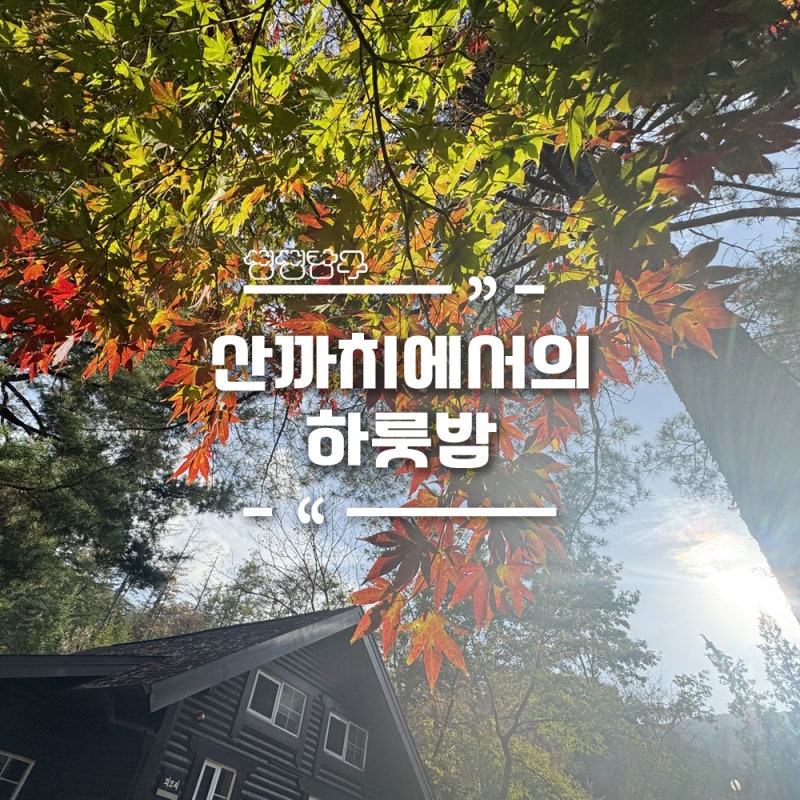 가평 국립유명산자연휴양림 숲속의집 산까치 후기