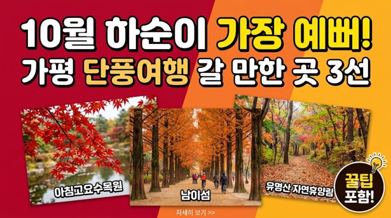 "10월 하순이 가장 예뻐! 붉게 물든 서울 근교 가평 단풍 핫플 베스트 3"