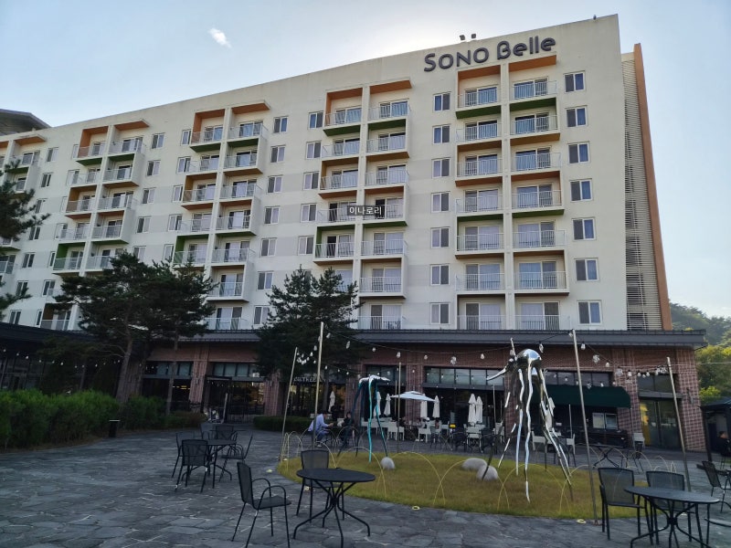청송여행ㅣ소노벨청송 스위트파크뷰 객실ㅣ솔샘온천ㅣ빠띠오PATIO 사과머핀 왕추천