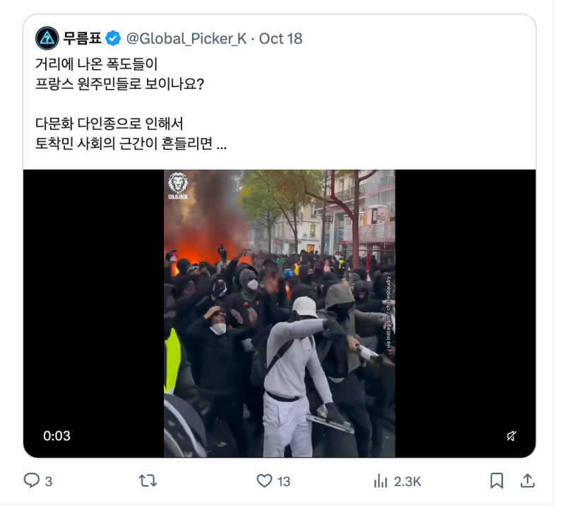 프랑스 폭동범은 무슬림이라고?