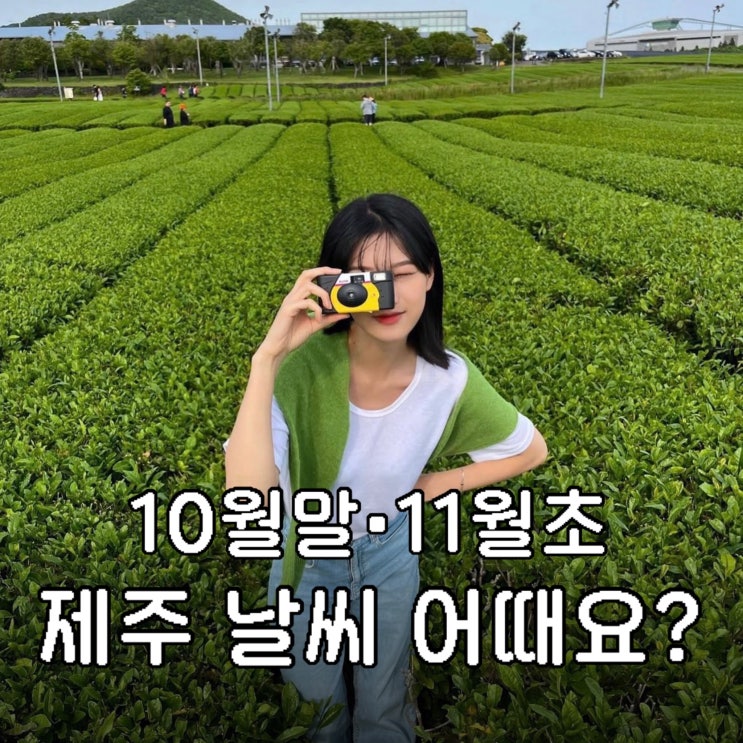 “반팔도 챙기세요!” 가을 실시간 <b>제주도 날씨</b>｜10월말 11월초 옷차....