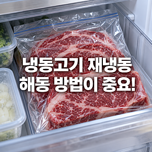 냉동고기 재냉동해도 될까? 냉장·실온·전자레인지 해동별 보관 기준