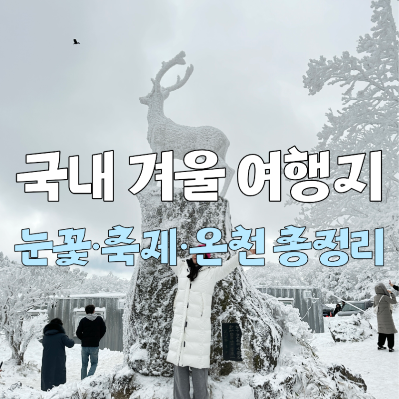 국내 겨울 여행지｜울진 온천부터 덕유산 곤돌라 눈꽃까지