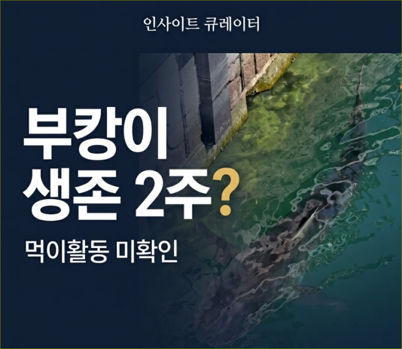 부산 북항 상어 부캉이 한 달째 먹이활동 미확인, '생존 2주' 전망의 진실은?