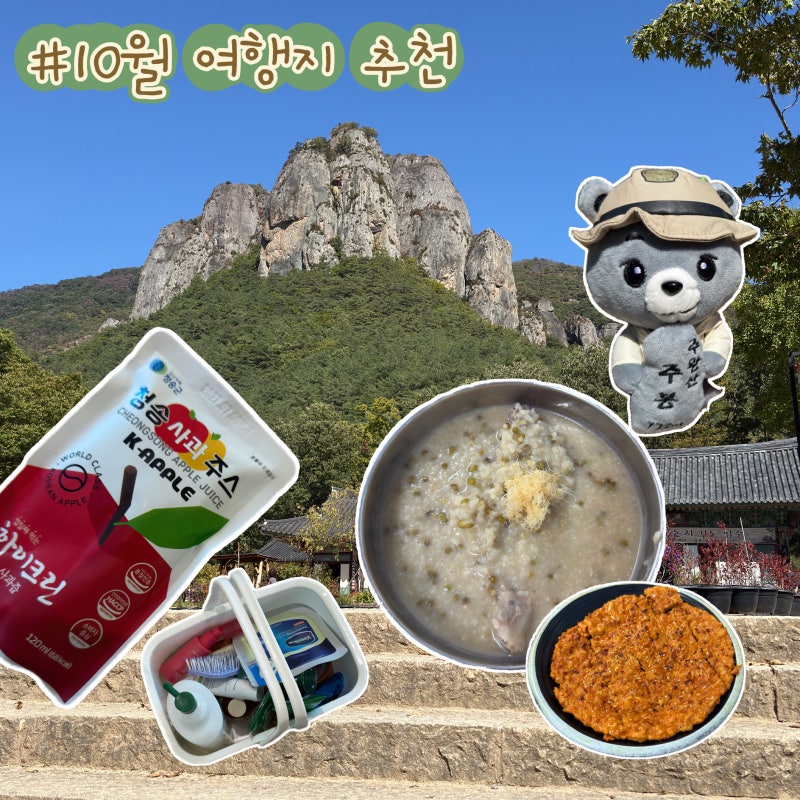10월에 꼭 가야 하는 여행지 청송 웰니스 여행 당일치기 코스