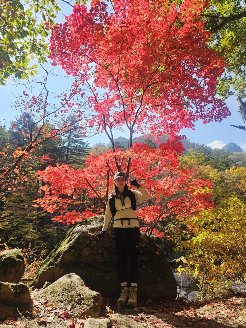 설악산 일출,단풍 산행 후기 - 오색코스, 백담사코스│소요시간, 난이도(남설악탐방지원센터....