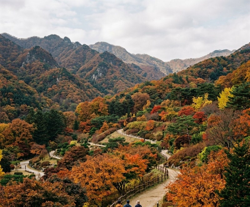 국립백두대간수목원 트램 요금과 국립백두대간수목원 숙소, 호랑이숲 관람