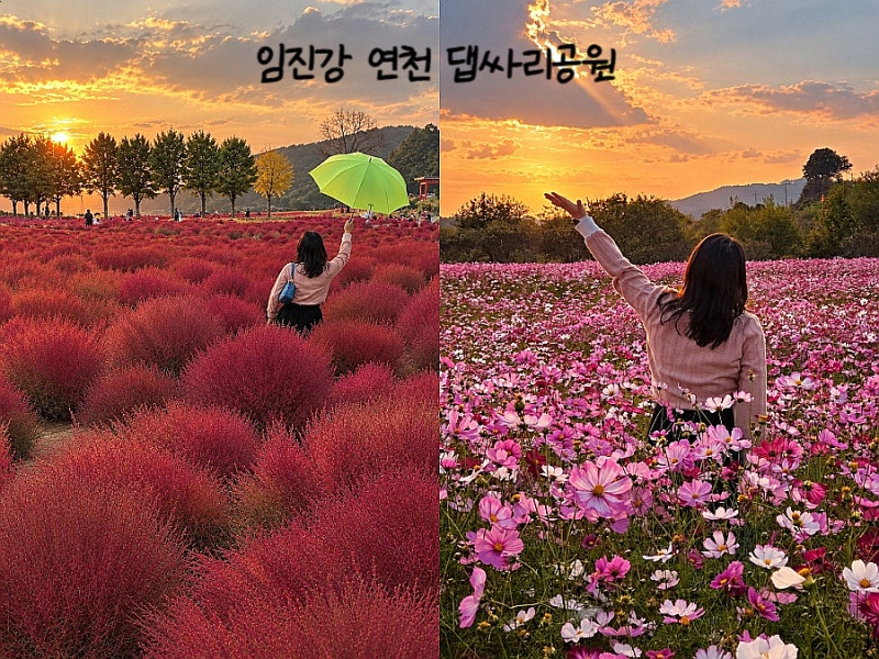 임진강 연천 댑싸리공원｜10월 가볼만한곳 부모님과 서울 근교 가을나들이