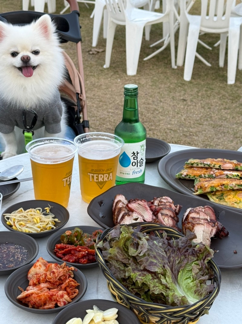강원도 홍천 여행 비발디파크 놀거리 야외 식당 맛집 고기집 시골장터 애견동반