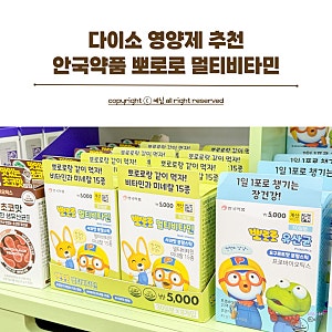 두돌 아기 다이소 영양제 추천 안국약품 뽀로로 유아 멀티비타민