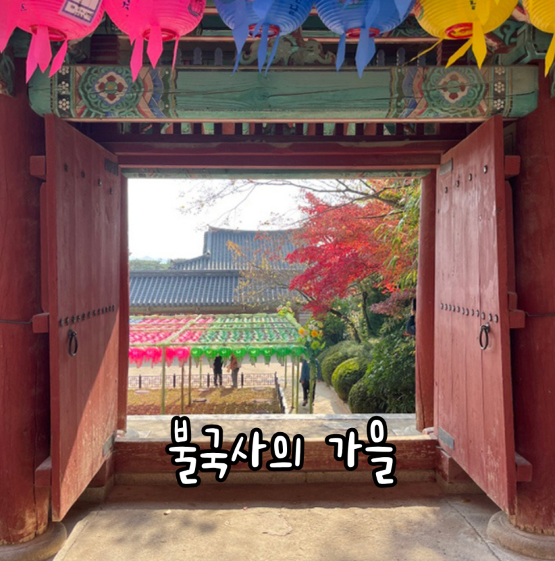 경주 불국사 단풍 절정 시기부터 주차장 명당 & 포토존 꿀팁 총정리