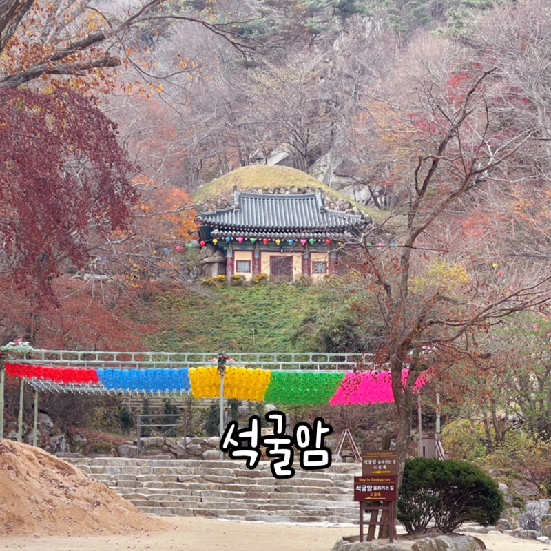 경주 석굴암 소요시간부터 주차장 꿀팁까지! 불국사와 같이 묶어가는 최단 동선