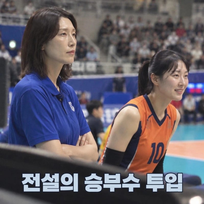김연경 황연주 투입 승부수 최고 시청률 돌파