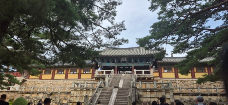 인천에서 경주로~포항 여행 후 크루즈 타고 울릉도로!