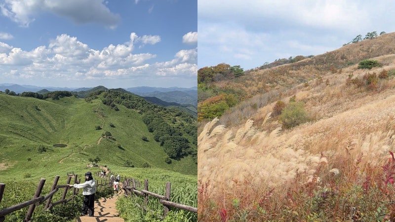 정선 민둥산 억새 등산코스, 증산초교 한 바퀴 7.56km (주차 무료)