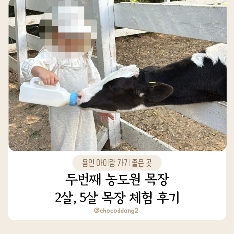 두번째 농도원목장 , 2살 5살 용인 아이랑 가기 좋은 곳