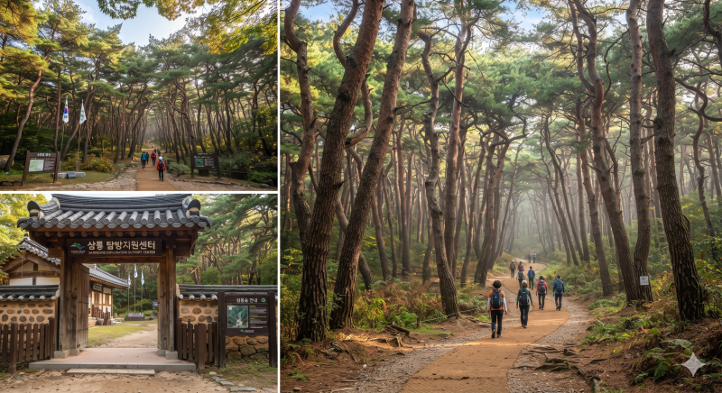 [경주 남산 등산코스] 초보자 강추 최단코스(삼릉/금오산/용장골) 노천 박물관 & 하산 후 경주....