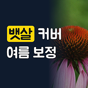 MERRIGE메리지3096 바디쉐이퍼 뱃살커버 여름보정속옷 올인원속옷