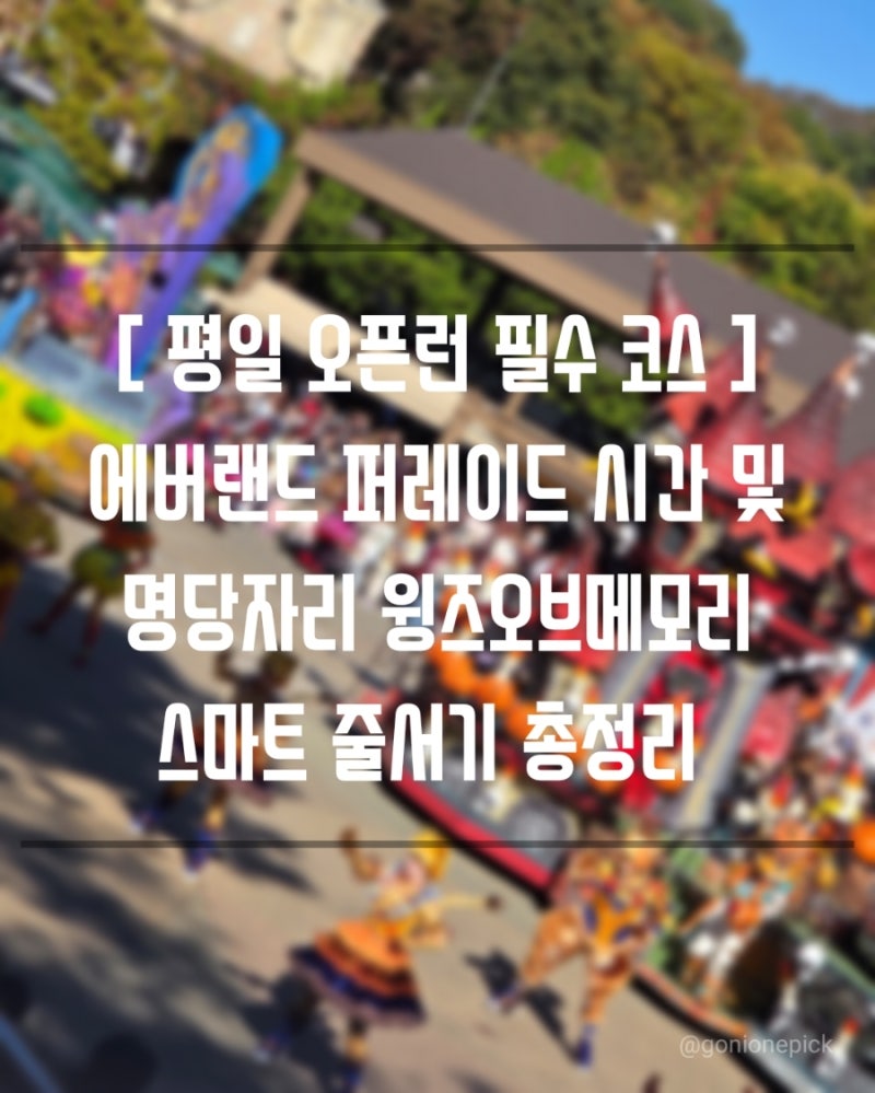 에버랜드자유이용권 할인 꿀팁 & 평일 에버랜드워킹사파리 & 윙즈오브메모리 후기 ✨
