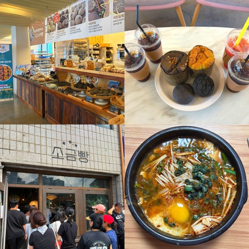 영월 맛집 동강다슬기 카페까지 강원도 여행 코스 추천
