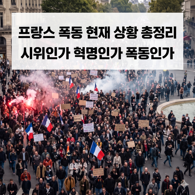 프랑스 폭동 현재 상황 총정리 시위인가 혁명인가 폭동인가