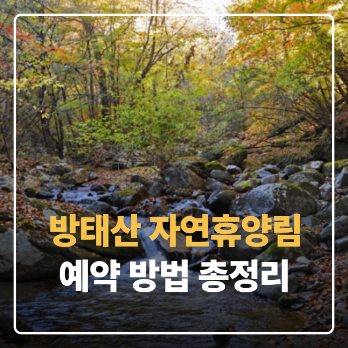 방태산자연휴양림 예약 방법 수요일 9시 놓치면 6주 기다려야 합니다