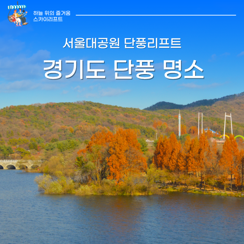 경기도 단풍 명소 서울대공원 단풍리프트 타고 가을 나들이