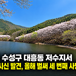 대구 수성구 대흥동 저수지서 여성 시신 발견, 올해 벌써 세 번째 사망사고