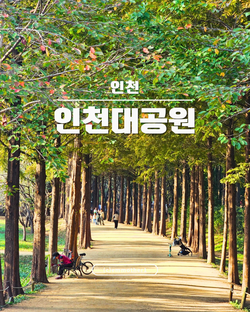 인천 가볼만한곳 인천대공원 수목원 유아숲체험원 동물원 반려견 동반 주차장 꿀팁