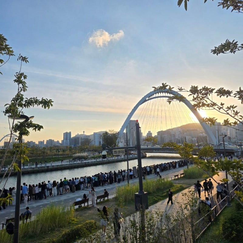 부산 북항 상어 아직도 있을까? 10월 17일 부캉이 직접 보고 온 후기