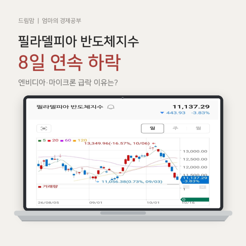 필라델피아 반도체지수 8일 연속 하락｜엔비디아·마이크론 급락 이유는?