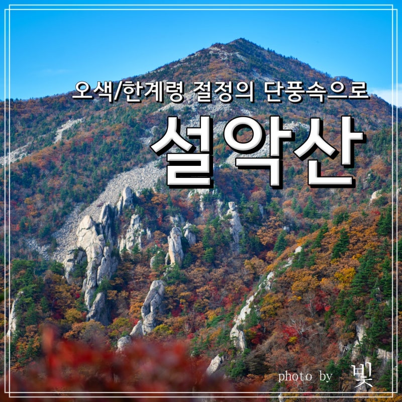 설악산 - 오색/한계령 절정의 단풍속으로