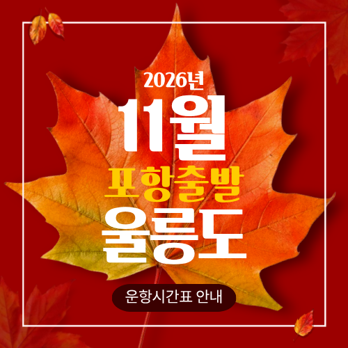 2026년 11월 포항출발/울릉도 여객선 운항시간표/일정/스케쥴안내