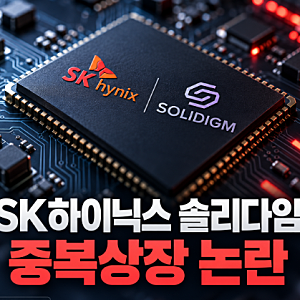 SK하이닉스 솔리다임 미국 중복상장 논란 금감원장 발언과 주주 우려 정리