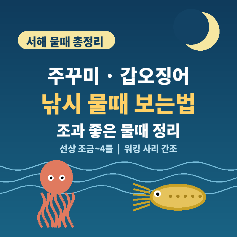 주꾸미·갑오징어 낚시 물때 보는법, 서해 기준 조과 좋은 물때 정리