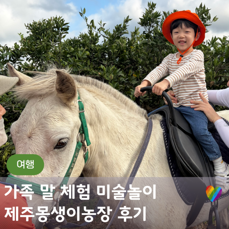 제주 어린이체험 말 먹이주기 물감놀이 제주몽생이농장 후기
