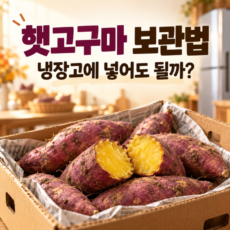 햇고구마 보관법, 냉장고에 넣어도 될까? 상자째 두면 썩는 이유
