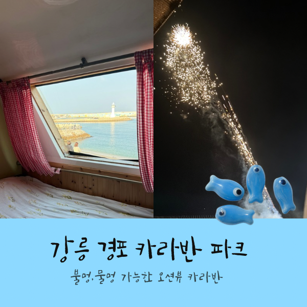 [강릉 숙소] 바다 앞 숙소 강릉 경포 카라반파크 내돈내산 솔직 후기