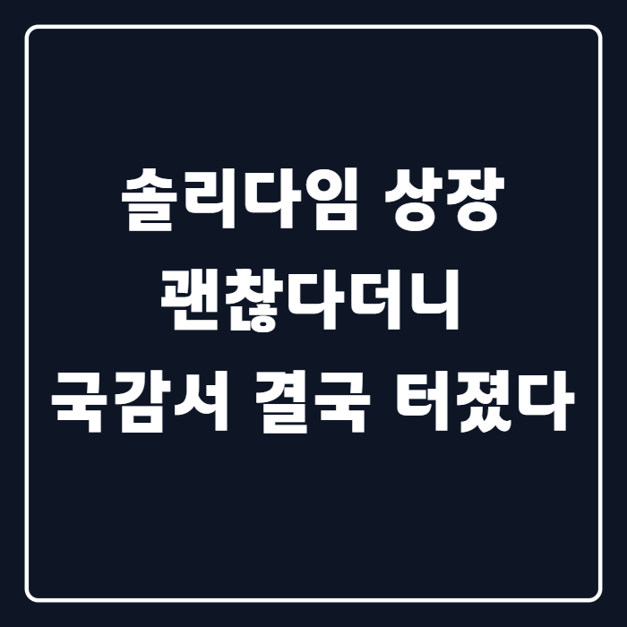 SK하이닉스 41% 출렁였는데, 솔리다임 상장 결국 국감서 터졌다