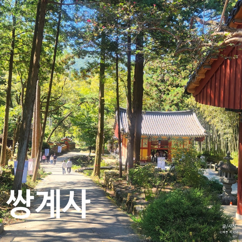 하동 쌍계사 경남 사찰여행 가볼만한곳 화개장터 풍경