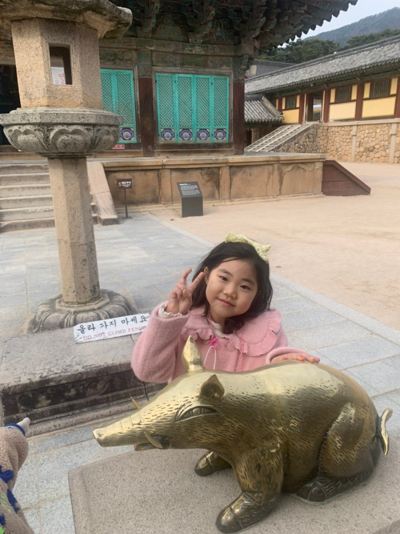 경주 가볼만한곳 BEST5 불국사 첨성대부터 경주월드까지