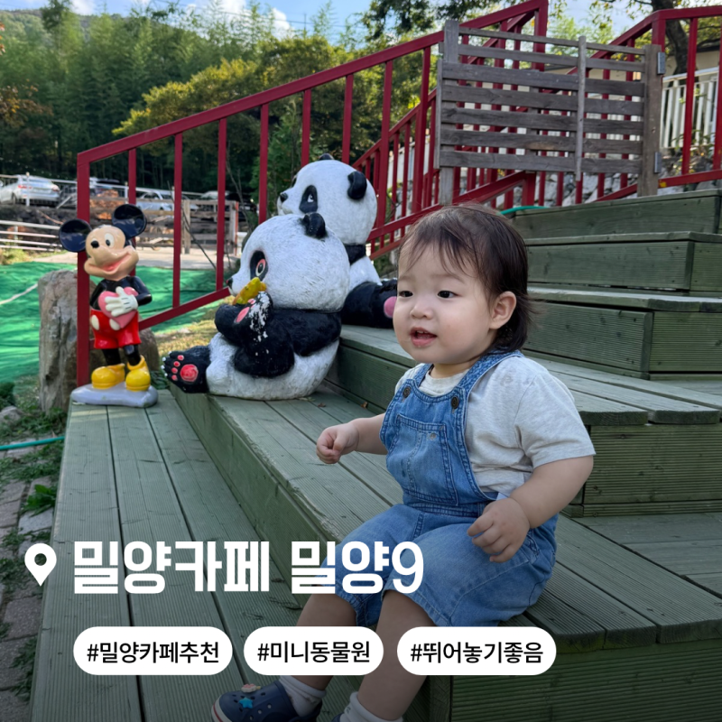밀양 아이와 가볼만한 카페 밀양9, 동물도 보고 뛰어놀기 좋은 대형카페