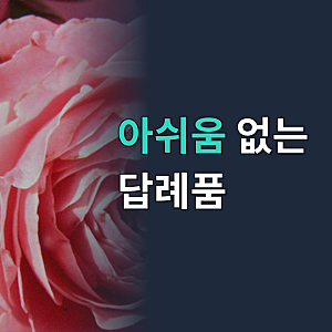 호두정과 답례품 선물세트 결혼식 답례품 정과 조문 호두강정 수제 견과류 결혼 보틀스몰