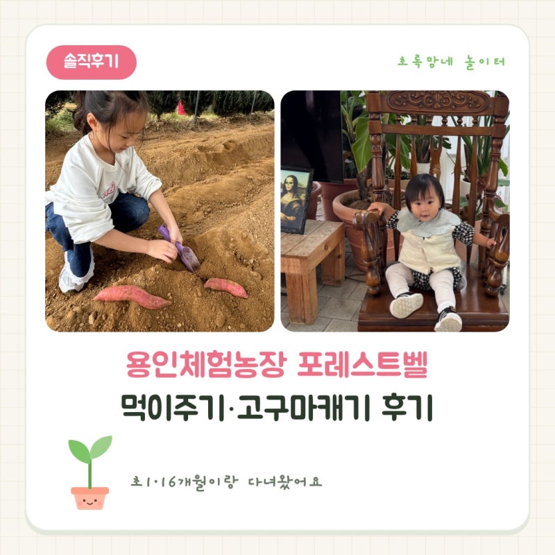 용인체험농장 포레스트벨｜비 오는 날도 OK 동물체험카페·포니 먹이·고구마캐기 (초1·16개....