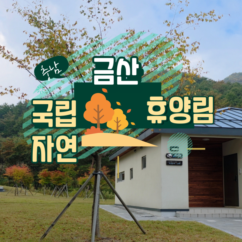 가을 여행 숙소 국립 금산 자연 휴양림 예약 방법과 안면송 객실