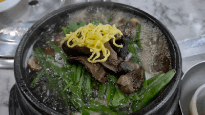 [영주맛집]자연산능이의 정수 시절향삼계탕백숙 솔직 후기! 메뉴/주차장/영업시간