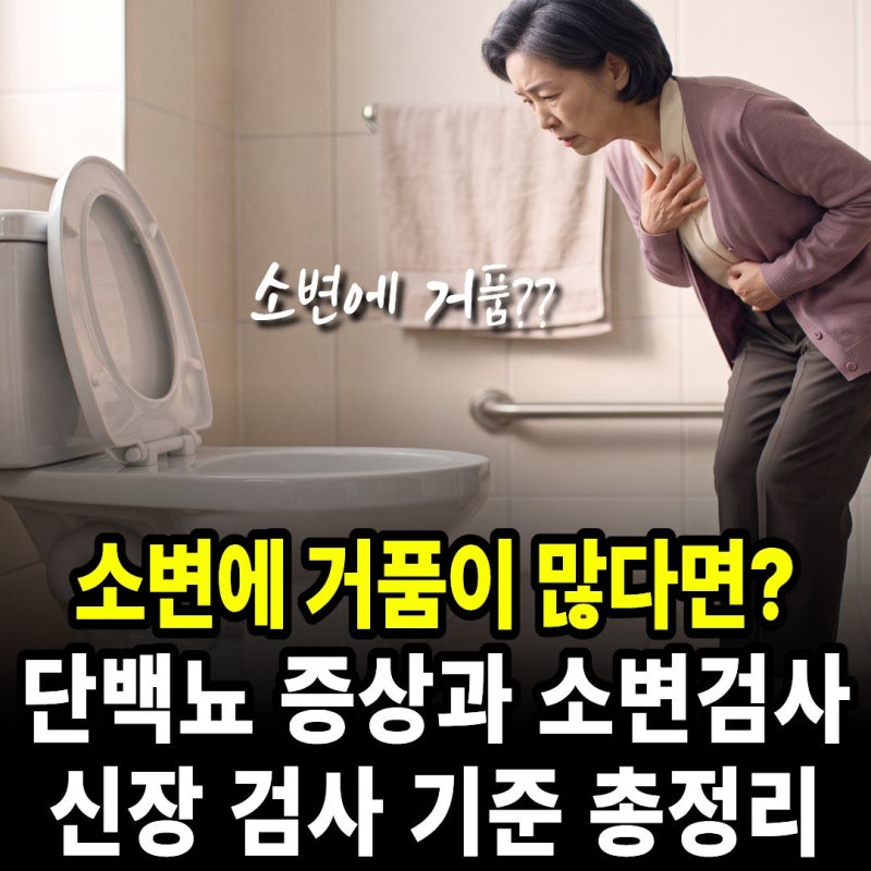 소변에 거품이 많다면? 단백뇨 증상과 소변검사·신장 검사 기준 정리