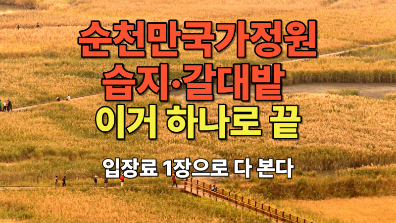 순천만국가정원·순천만습지·순천만갈대밭 완전정리｜입장료·주차·가는 길까지 한 번에