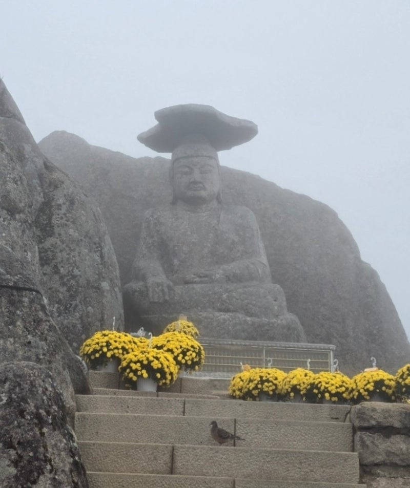 [대구]경산 선본사 갓바위 26.10.19 안개낀 오전 남편이랑 운동 다녀옴! 함께 떠나보시죠^^(사진....