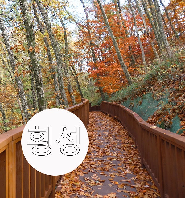 강원도 횡성 가볼만한곳 국립횡성숲체원